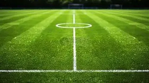 桑切斯与阿利森内场冲突，两将同被换离球场